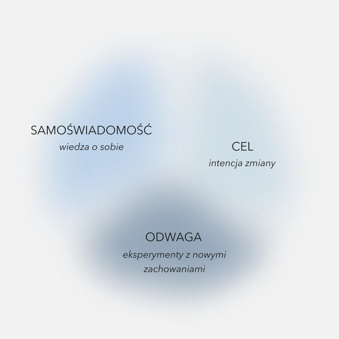 zdjęcie przedstawiające diagram podzielony na trzy części w odcieniach niebieskiego z napisami ŚWIADOMOŚĆ CEL i ODWAGA filary dobrego przywództwa