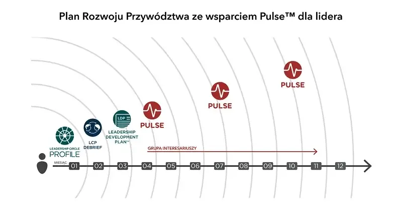 zdjęcie przedstawiające kroki do wykonania od 1 do 12